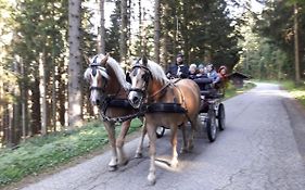 Ferienhaus Kitting
